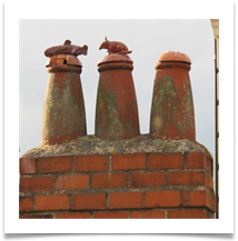 Chester Chimney Pots 12-06-2013 - Helen Kulczycki